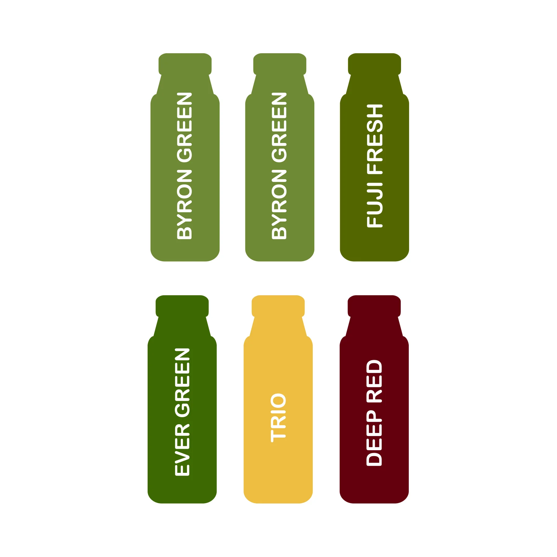 1 Day Cleanse #2 — LIVING COLOR JUICE